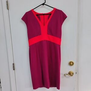 NWT Narciso Rodriguez for Design Nation Pink Colorblock Dress Size L